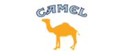 Camel Logo